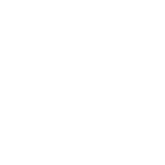 Acesonic USA