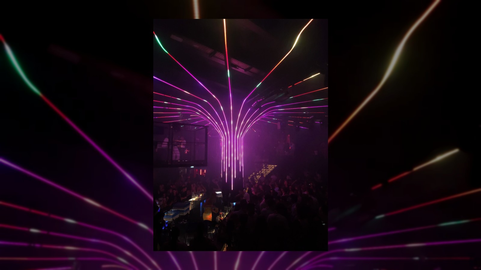 Synapse Audiovisuel and CHAUVET Professional Cultivate Beauty with 809 Social Club Tree
