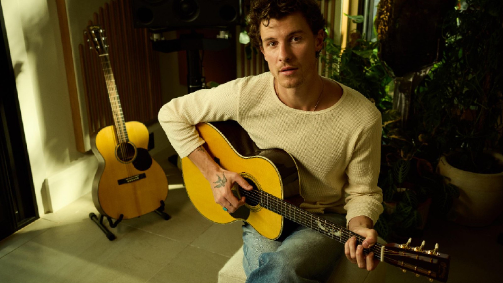 Martin Guitar and Shawn Mendes Introduce Two New Signature Models